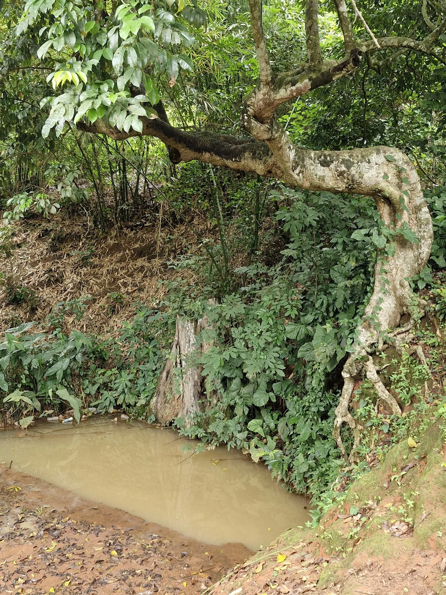 two child hands holding each other, one black, one white